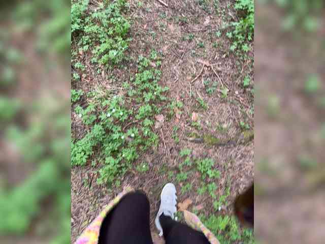 Ekaterina2221 webcam