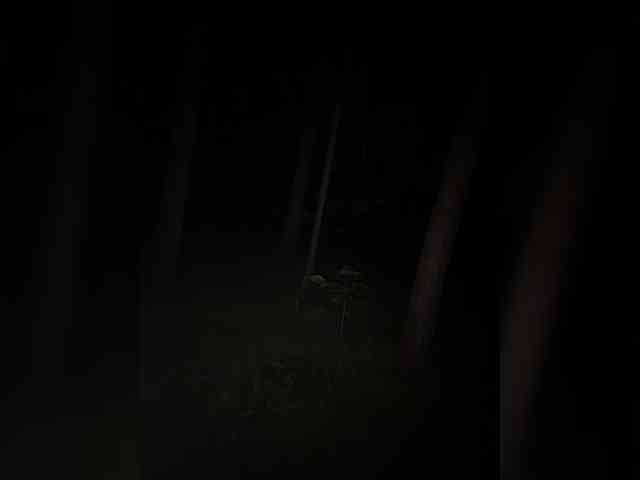 Ekaterina2221 webcam