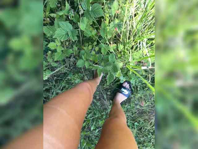 aniram2221 Sex Cam Show