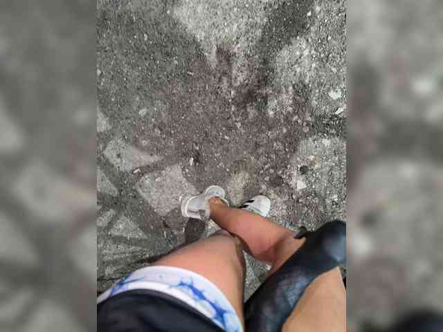 aniram2221