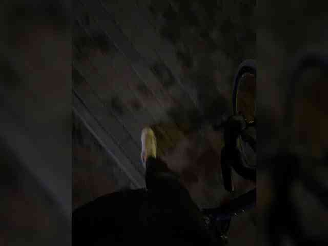 aniram2221