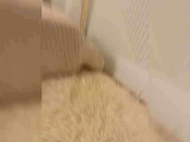 Ekaterina2221 webcam