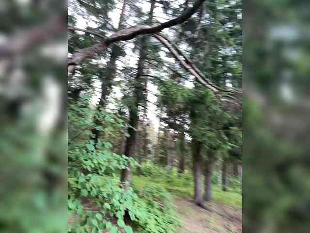 Ekaterina2221 webcam