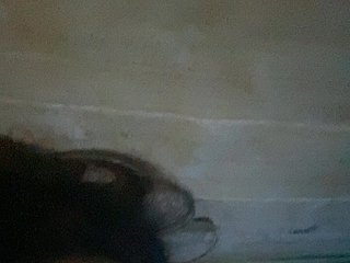 Rainie Porn Show