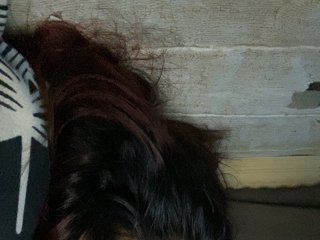 Rainie Porn Show