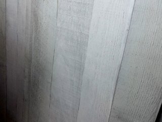 Rainie Porn Show