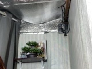 Rainie Porn Show