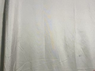 Rainie Porn Show