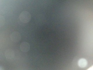 Image capture of MoonFlowers