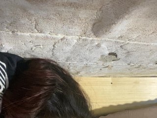 Rainie Porn Show
