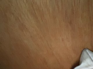 Rainie Porn Show