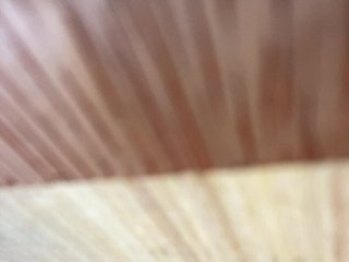 Rainie Porn Show