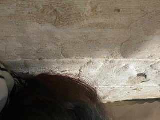 Rainie Porn Show