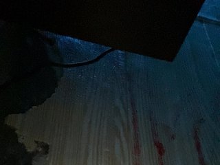 Rainie Porn Show