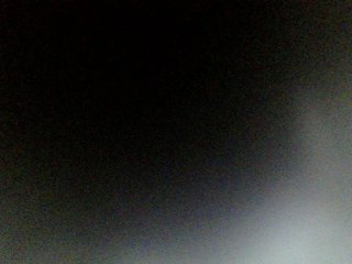 MoonFlowers Porn Show