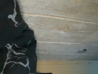 Rainie Porn Show