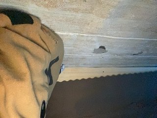 Rainie Porn Show