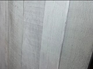 Rainie Porn Show