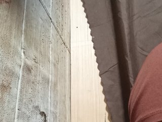 Rainie Porn Show