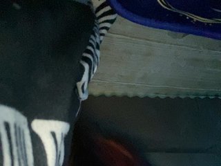 Rainie Porn Show