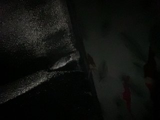 Rainie Porn Show