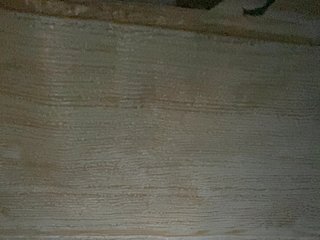 Rainie Porn Show