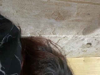 Rainie Porn Show