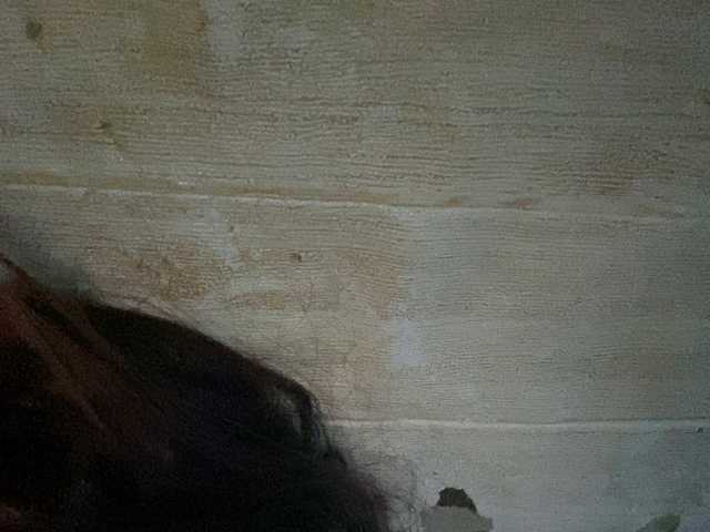 Rainie