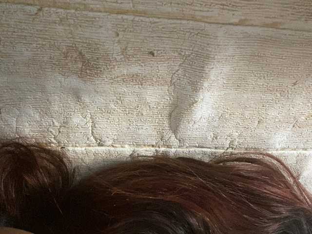 Rainie