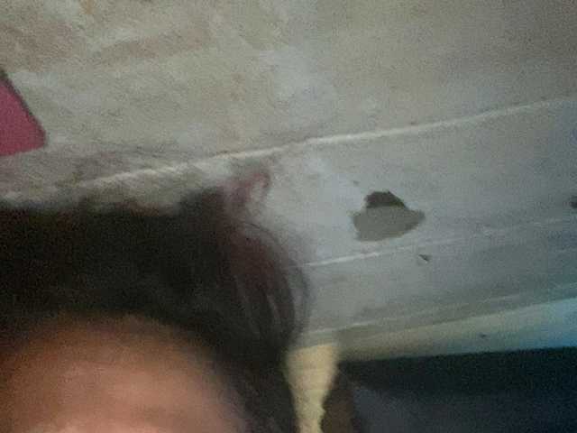 Rainie