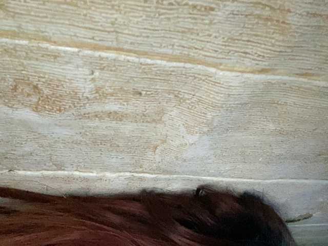 Rainie