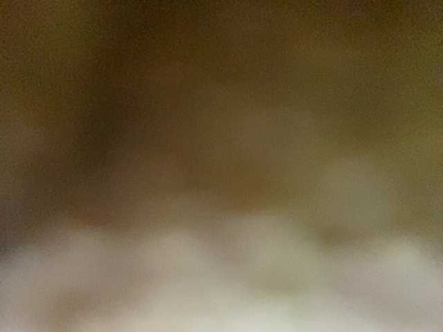 Asiankitties live cam on BongaCams