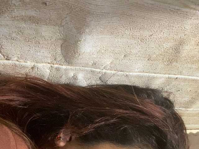 Rainie