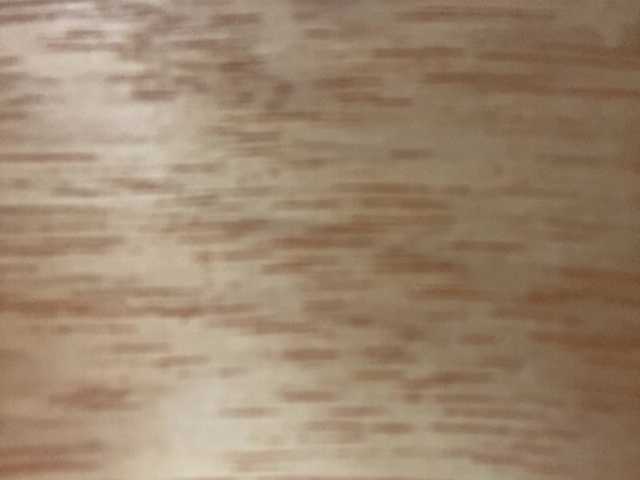 asiankitties cam belle