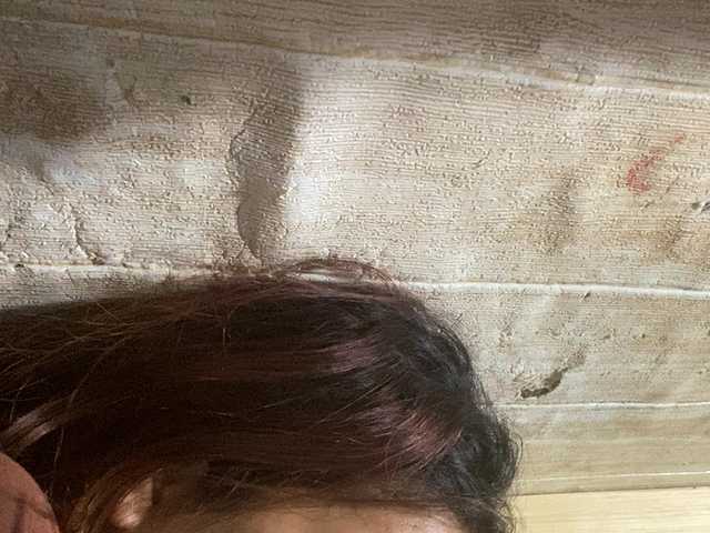 Rainie