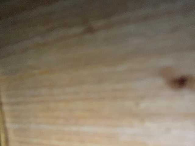 Asiankitties live cam on BongaCams