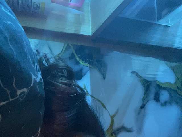 Rainie live cam preview