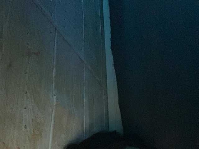 Asiankitties