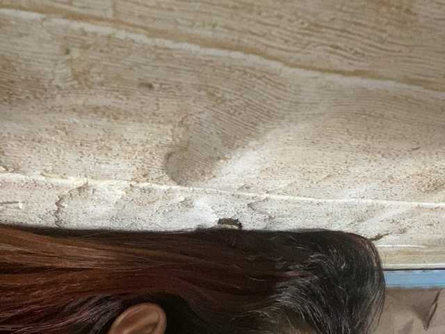 Rainie