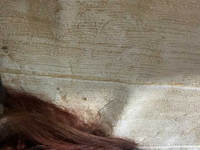 Rainie