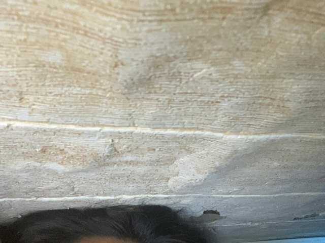 Asiankitties