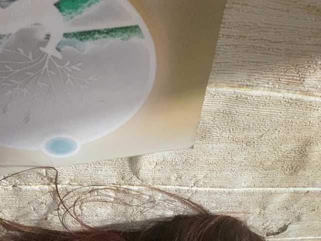 Rainie
