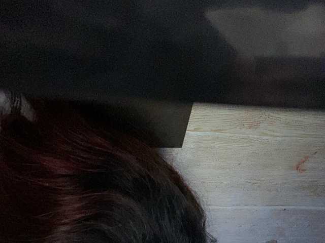 Rainie