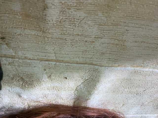 Rainie