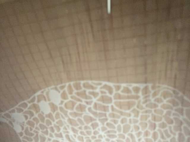 Asiankitties live cam on BongaCams