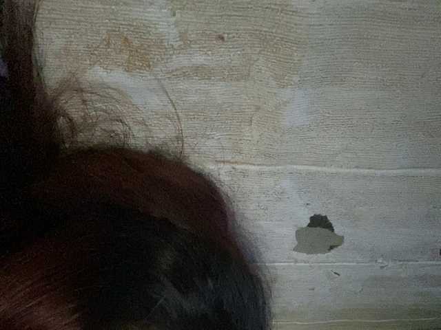 Rainie