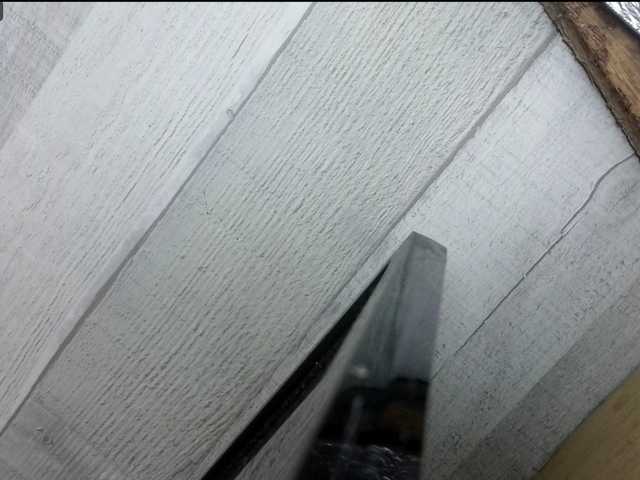 Asiankitties live cam on BongaCams