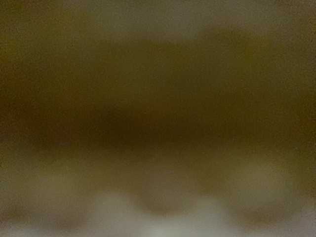 Asiankitties live cam on BongaCams