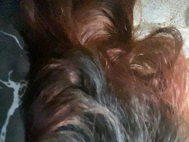 Rainie
