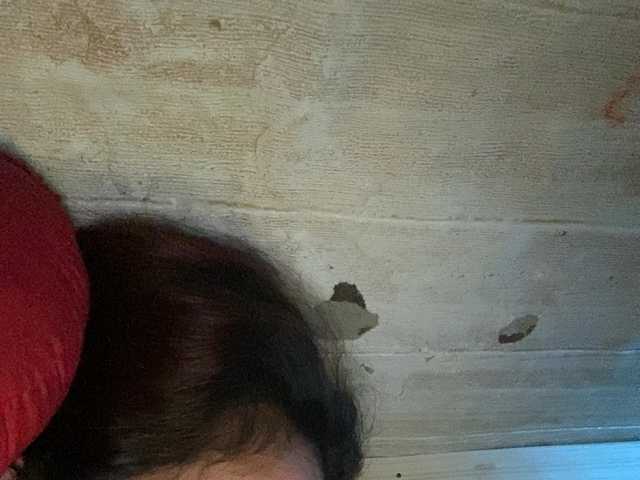Rainie